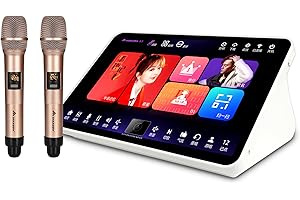 11.6 Inch Touchscreen Karaoke Machine with Microphone Portable Home KTV System Bilingual Chinese English Wireless Bluetooth f
