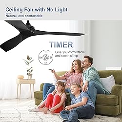 BvenuBigLite Black Ceiling Fan for Indoor: 3 Blades