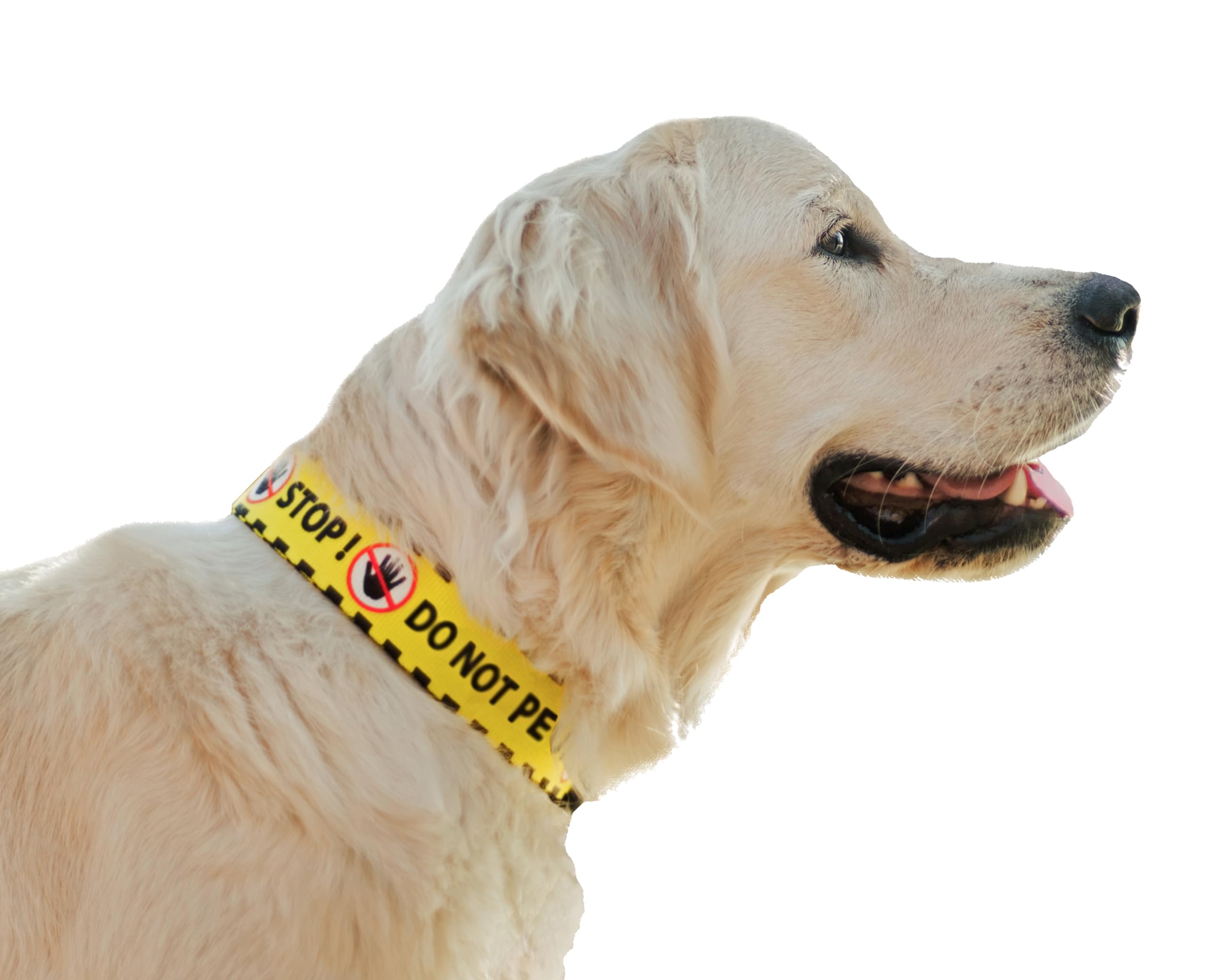 Dingo Waldemar Rutkowski Material – Handmade, Adjustable, Recycled Material, Black/Yellow with “DO NOT PET” Warning Text for Safer Dog Walks, Size L (15362) — image 1