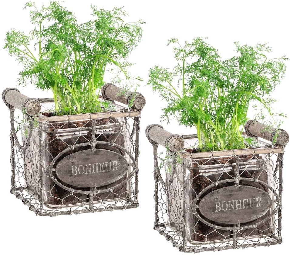 Dibor Set of 3 Herb Pot Garden Flower Pot Planters in Basket (BP00)