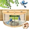 Amazon.com : in Window Bird Feeders for Viewing - 180° Clear View Bird ...
