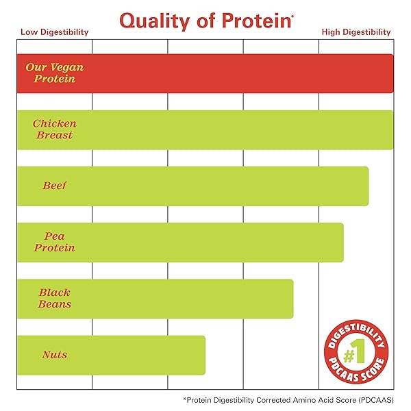 ZHOU PLANT COMPLETE VEGAN PROTEIN POWDER – PLANT BASED PROTEIN POWDER FOR WOMEN & MEN, NON DAIRY RICE & PEA BLEND FOR SMOOTHIES & SHAKES, 21G PROTEIN PER SERVING – CHOCOLATE, 17.7OZ (16 SERVINGS)
