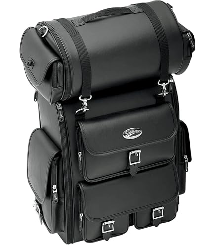Amazon.com: Saddlemen 3515-0080 Deluxe Sissy Bar Bag : Automotive