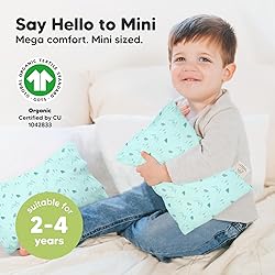 Mini Toddler Pillow with Pillowcase - 9x13 My