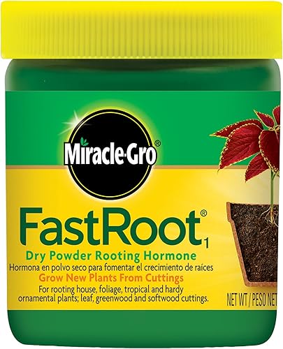 hstcstbl-table__image