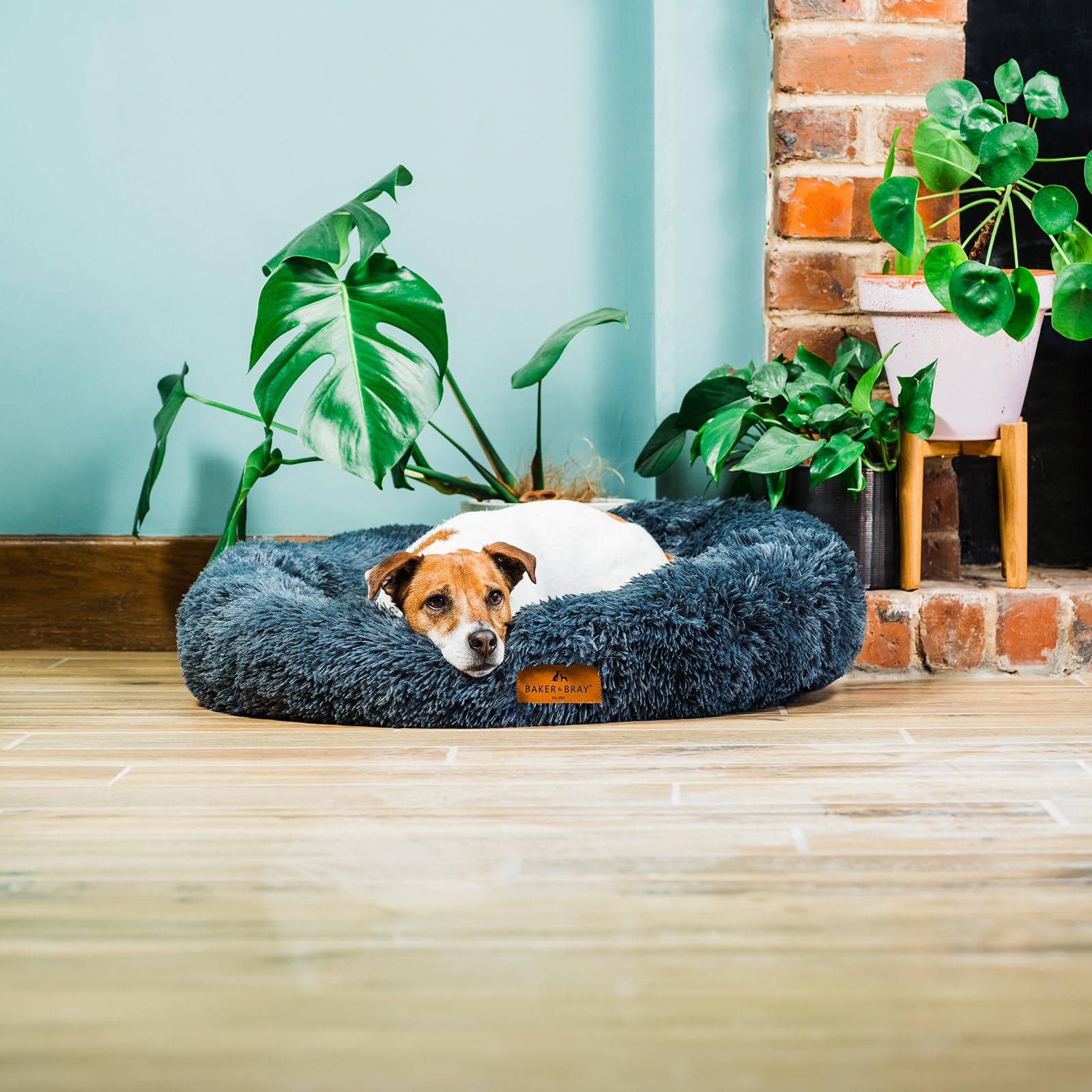 Baker and Bray - Eco Friendly Luxury Calming Donut Dog Bed, Dark Grey, Machine Washable (Large 100 cm Diameter 20 cm Rim)