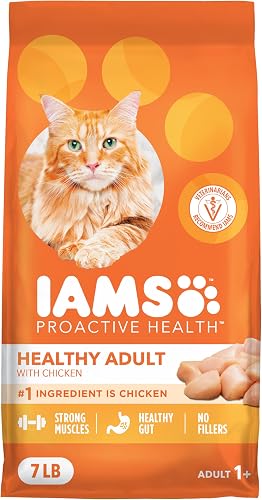 Iams Proactive Health alimento seco para gatos adultos con pollo, 7 — Comida para gatos