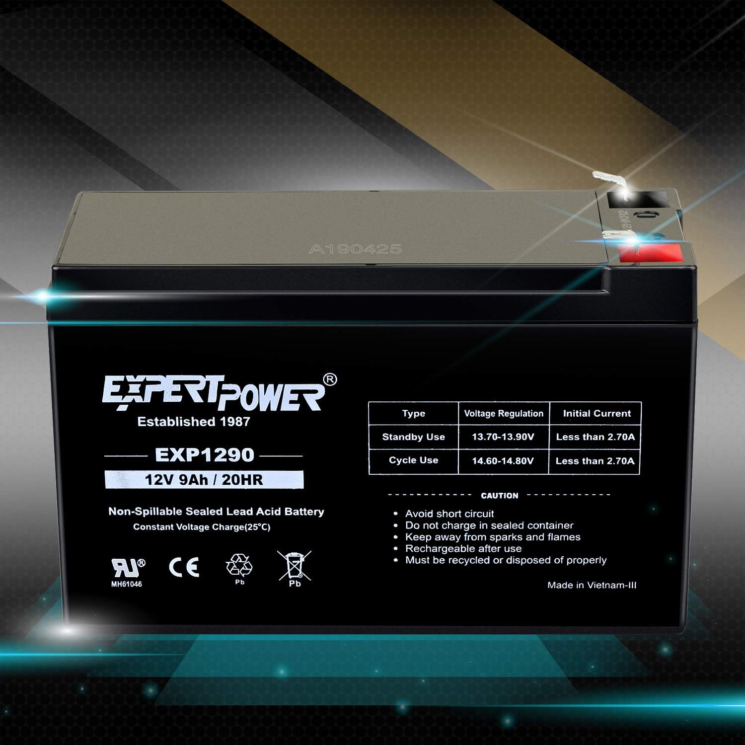 ExpertPower EXP1290-2 12V 9AH SLA Battery: Automotive