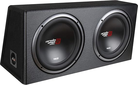dual 10 inch subwoofer with amp