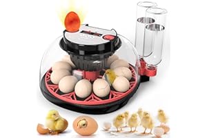 BESTECCT Incubators for Hatching Eggs,12 Egg Incubator with Automatic Turning and Humidity Control,Egg Candler,Air Vent,360° Viewing for Chicken,Quail Eggs,Ideal for Farm,Classroom,Home Use