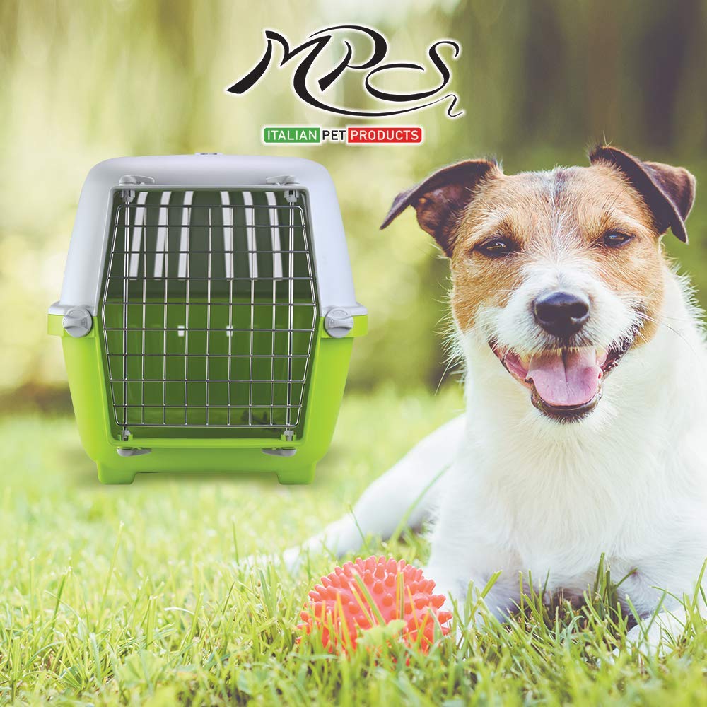 lazy bones dog carrier