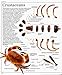 Ultimate Visual Dictionary