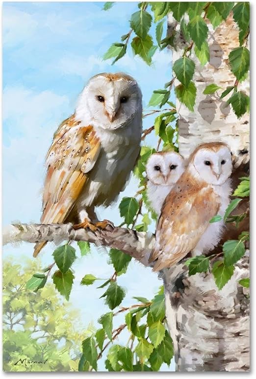 Amazon Com Barn Owl Family By The Macneil Studio 30x47 Inch
