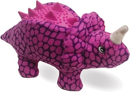 dino pet amazon