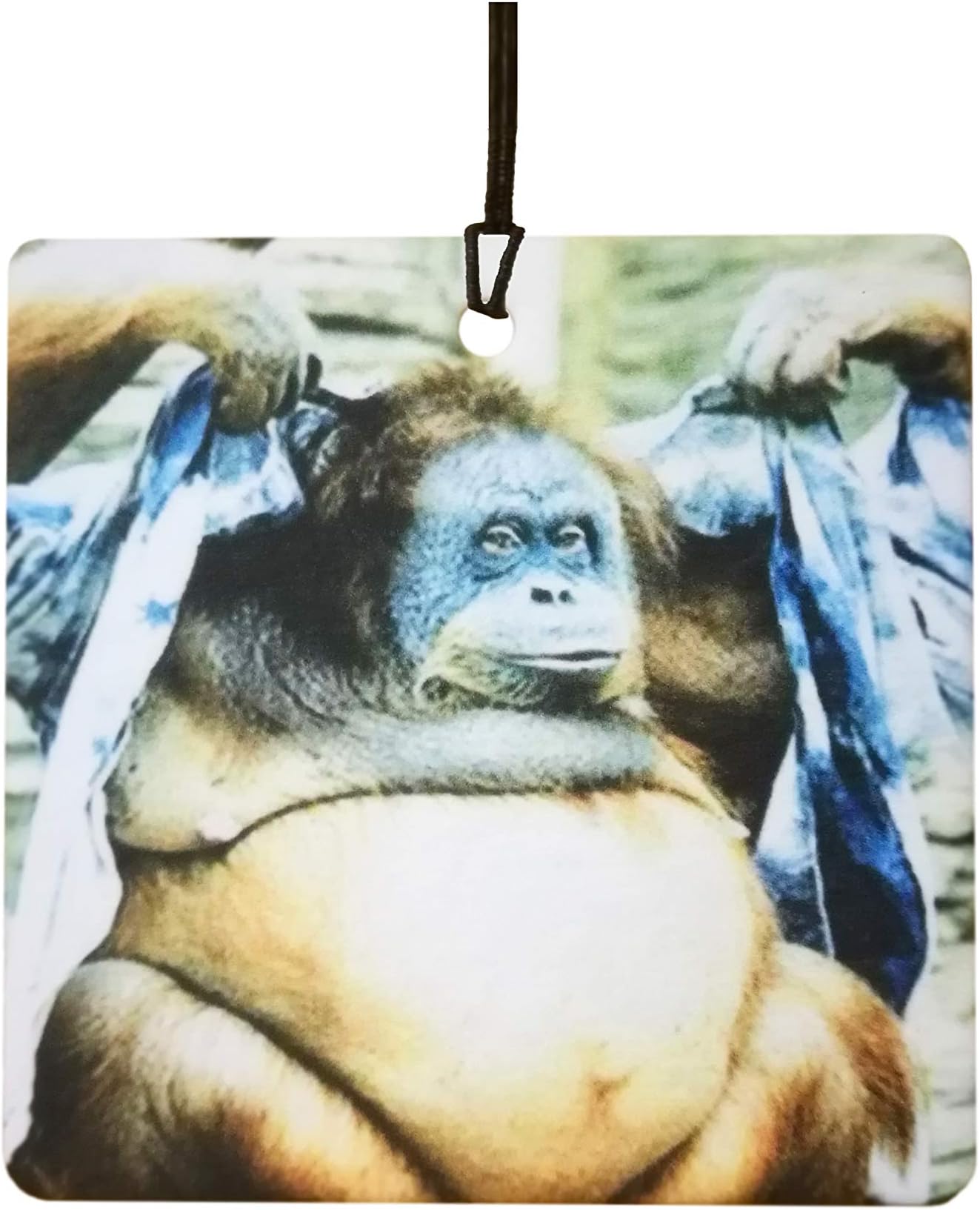 Strip Tease Monkey Car Air Freshener (Funny/Fun Xmas Christmas Stocking Filler/Secret Santa/Novelty Scented Animal Gift)