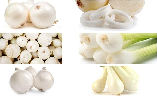 Cebolla Blanca - Conjunto de Semillas de 6 Variedades de Plantas ...