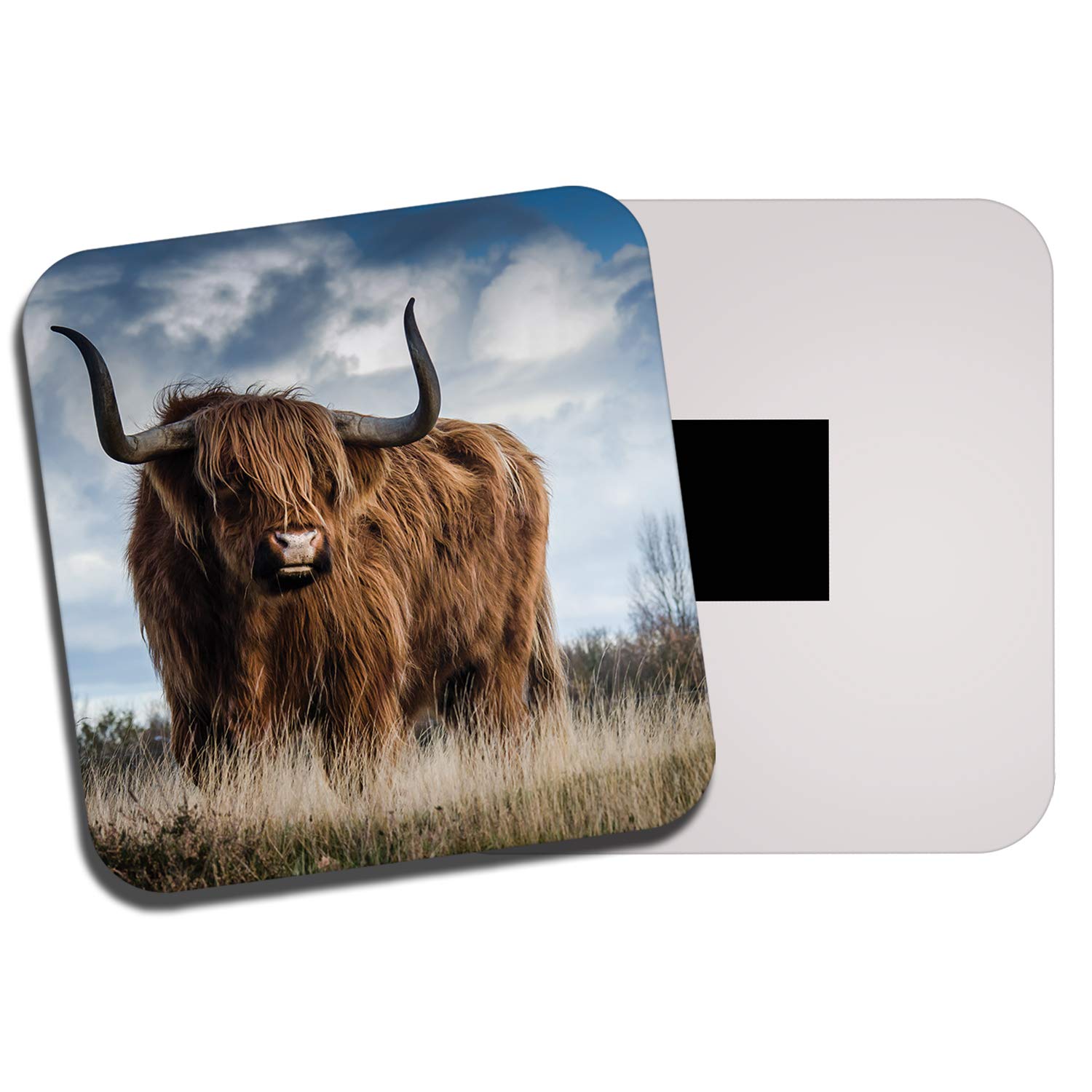The 10 Best Refrigerator Magnet Highland Cow