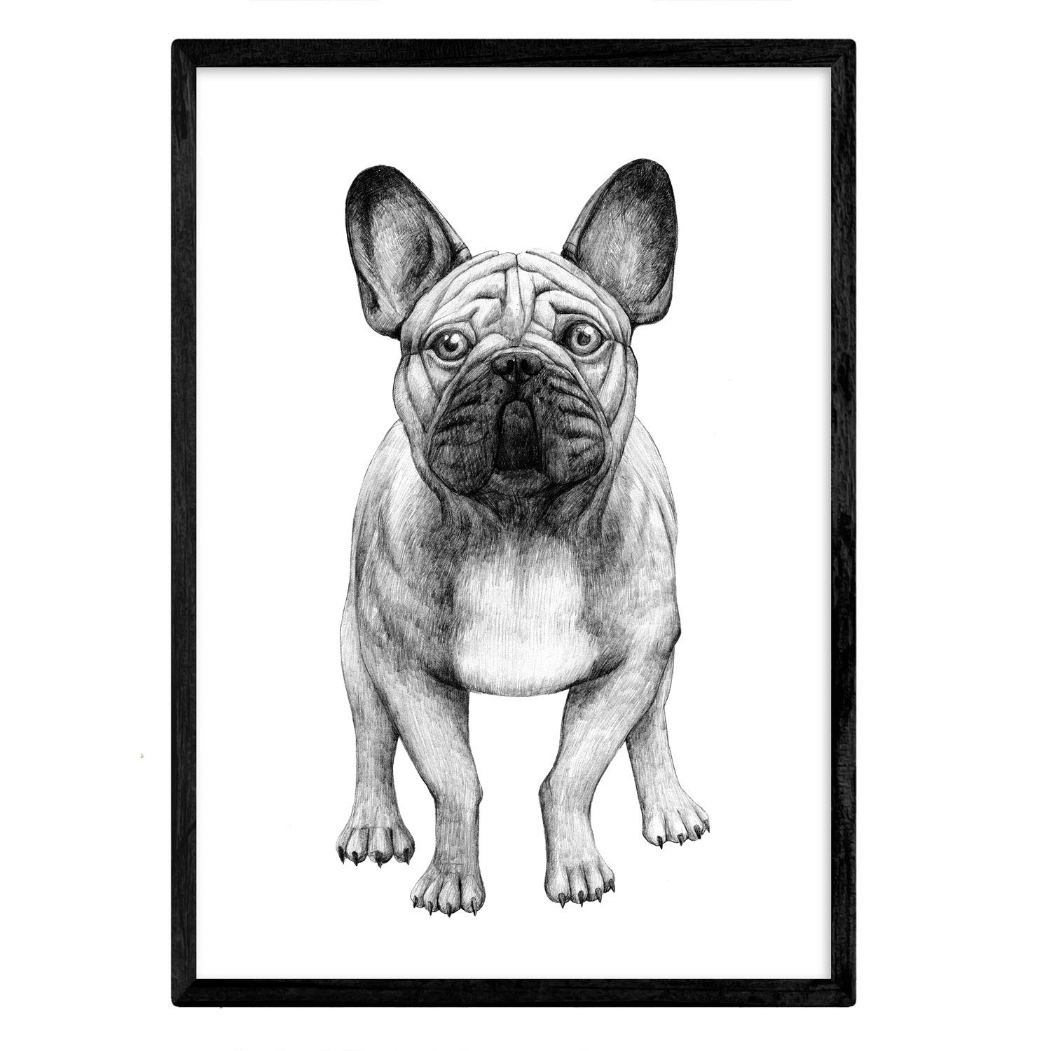 Nacnic Bulldog Poster white. Decorative foil dogs. A4 size