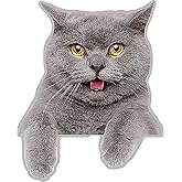 2 pcs Gray Cat Pattern Funny Car Bumper Sticker,5 Inch Vinyl Decal, Waterproof,Die-Cut for Cars,Windows,Laptops M-12