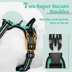 rabbitgoo Dog Harness No Pull with 2 Leash