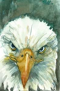 Kit de pintura de diamante 5D DIY Dibujo de diamante Águila Calva