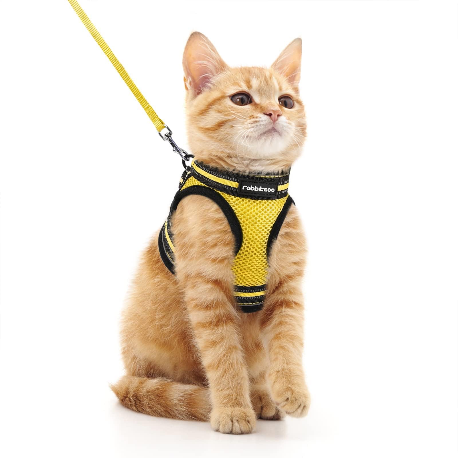 rabbitgoo Cat Harness and Leash Set for Walking Escape Proof, Adjustable Soft Kittens Vest with Reflective Strip for Extra Small Cats, Comfortable Choke-Proof Outdoor Vest Harness, Yellow, M