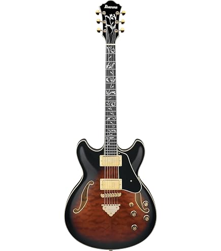 Amazon.com: Ibanez Artcore Expressionist AS93BC Semi-hollowbody