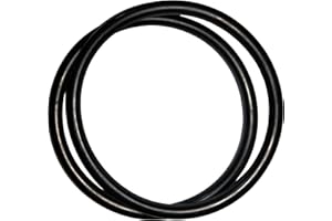 KOATUKYS R172009 O-Ring for Pentair Model 300/320 Pool and Spa Chlorinator Lid (2/Pack)