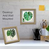 YiPinYin 6x6 Inch Square Photo Frame Set of 3 with Mount 5x5 Inch view 4
