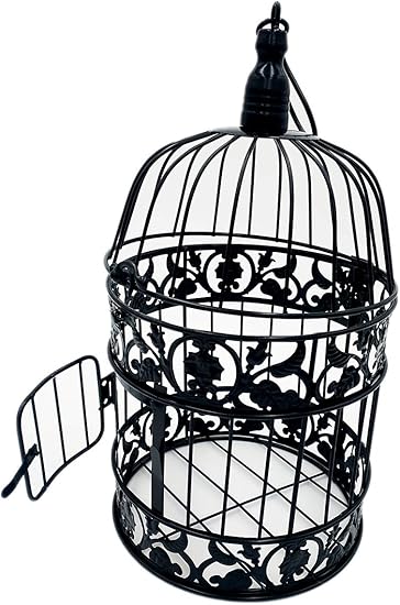 Amazon Com Pet Show Round Birdcages Wedding Gift Cards Holder