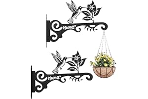 Bamworld Plant Hanger Wall Mount Bracket 2 Pack Decorative Hummingbird Hanging Plant Holder, Heavy Duty Plant Hooks for Wall 