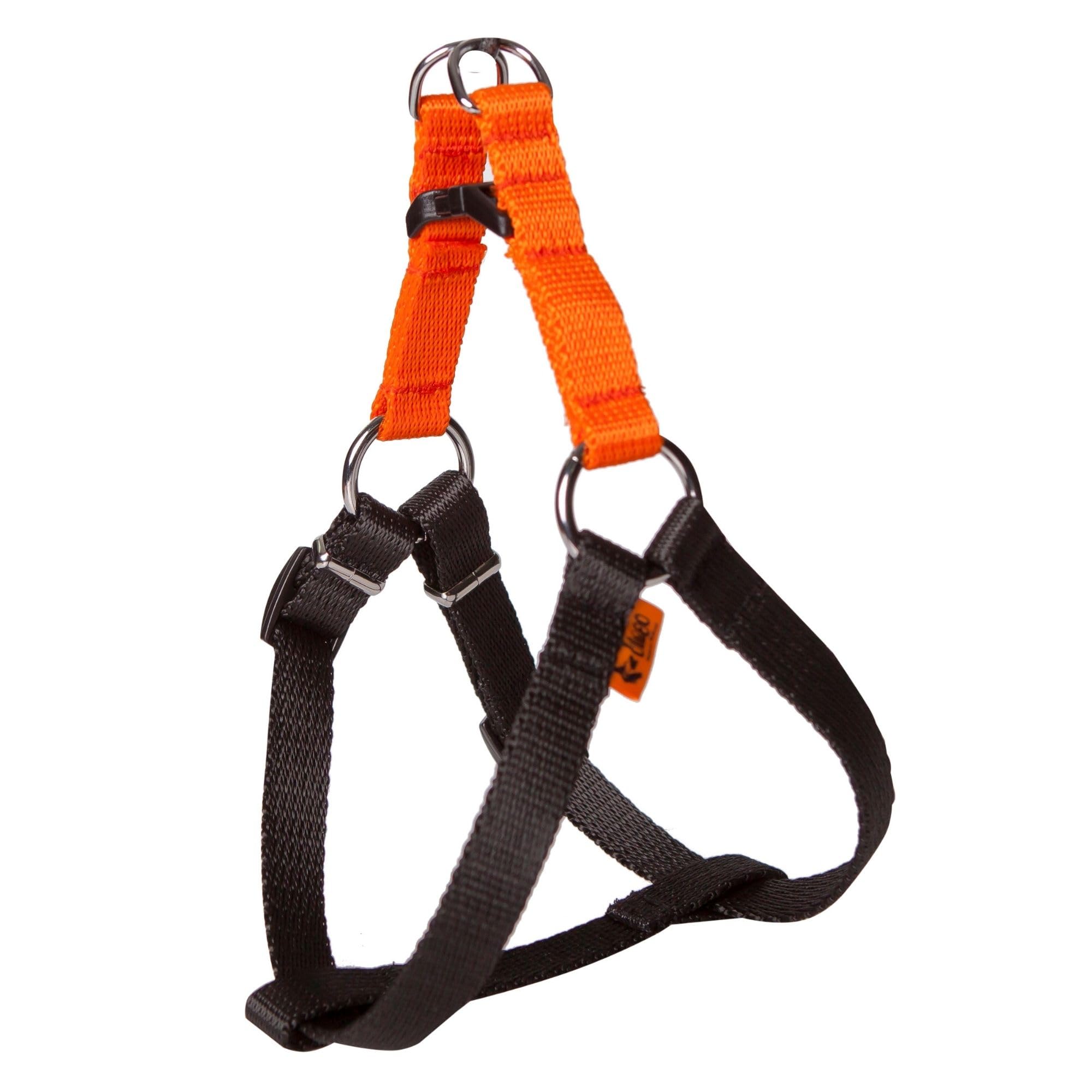 Dingo Dog Harness with Plastic Buckle Easy Wearing, Handmade of Material Orange, Black Contrast 94607