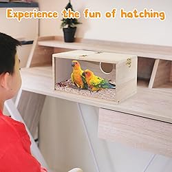 Rypet Parakeet Nesting Box Transparent Design, Bird