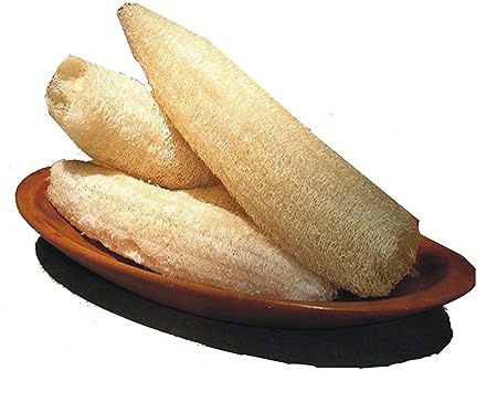 Jeoga 100% Natural Ridge Gourd Fiber Big Size 8 To 10 Inch Long Loofah (Can Cut It As Per Requirement)