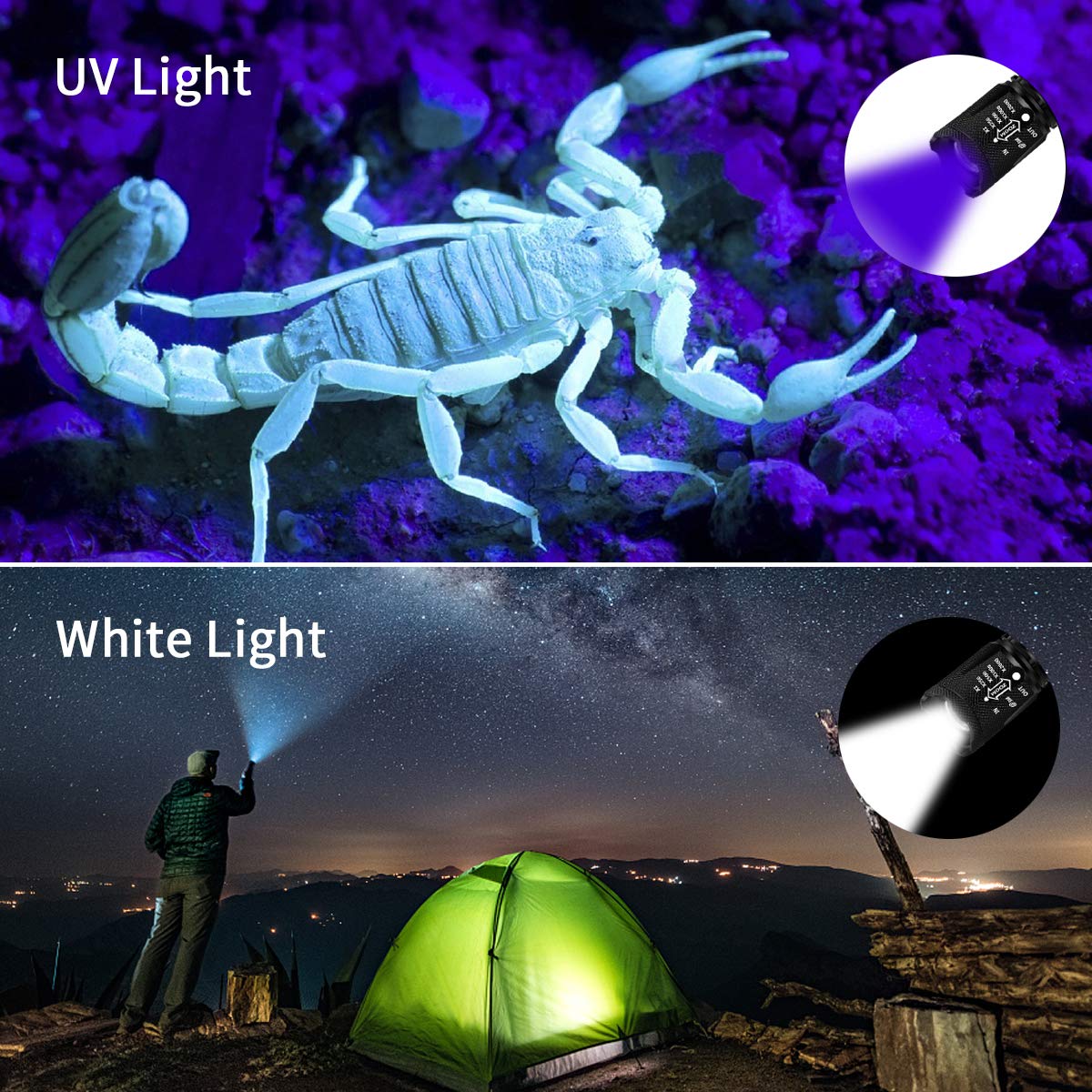 2 Pack UV Flashlight with Batteries, 2 in 1 Black Light & Tactical Light Flashlight Mini Ultraviolet Blacklight Urine Detector for Cats, Pet Stains, Bed Bugs, Scorpions