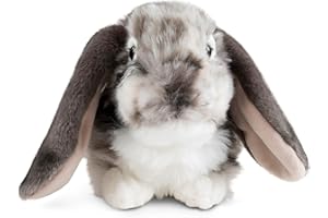 Living Nature Grey Dutch Lop Eared Rabbit Stuffed Animal | Fluffy Rabbit Animal | Easter Bunny | Soft Toy Gift for Kids | 10 inches