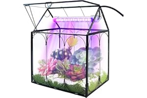 Plant Terrarium Kit with Grow Light, Rifny Small Glass Terrarium Jar with Absorbent Mat and Lid for Venus Fly Trap Succulent Live Air Plants Indoor Home Office Decor (Black, 7.1 x 4.8 x 8.8 inch)