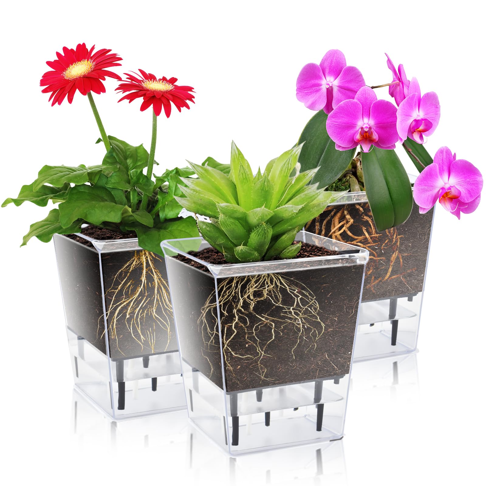 IWTTWY Self Watering Plant Pot Set Pack of 3, Modern Clear Planters for Indoor Plants with Reservoir and Wick Cord, Flower Pots for Orchid, African Violet, Rose, Tulips (3 Medium)