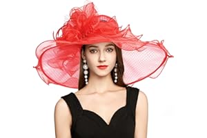 YIDINGCO 2025 Kentucky Derby Hat for Women Ladies, Organza Veil Feather Fascinator for Tea Party Church UV Protection Sun Hat