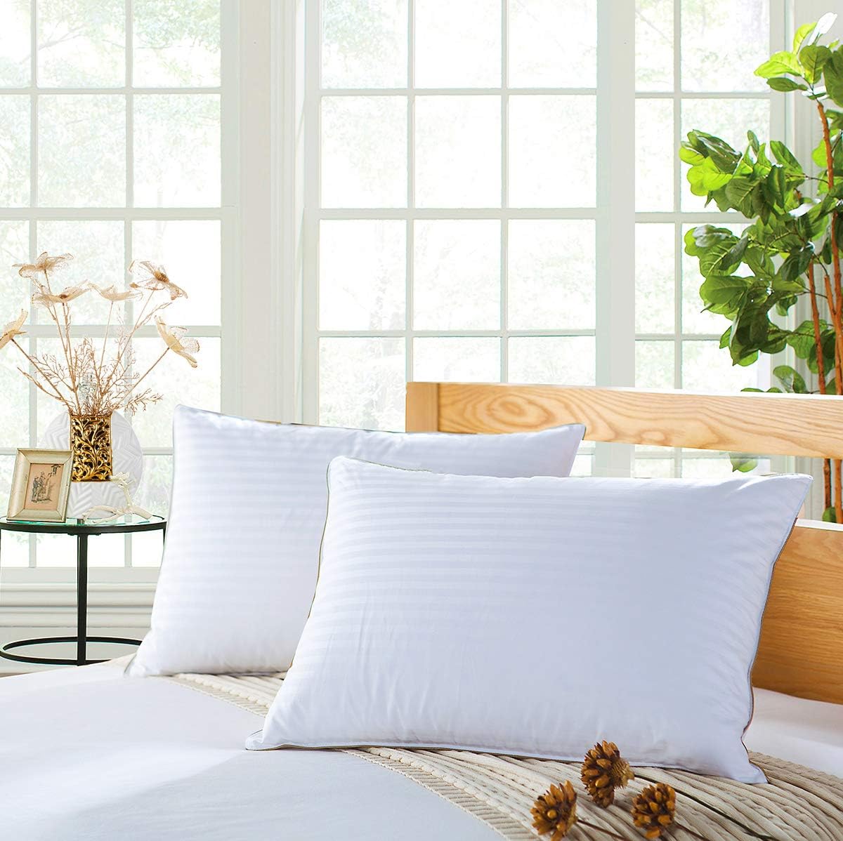 Amazon Com Luosifen Luxury Goose Down Pillows Queen Size 2 Pack