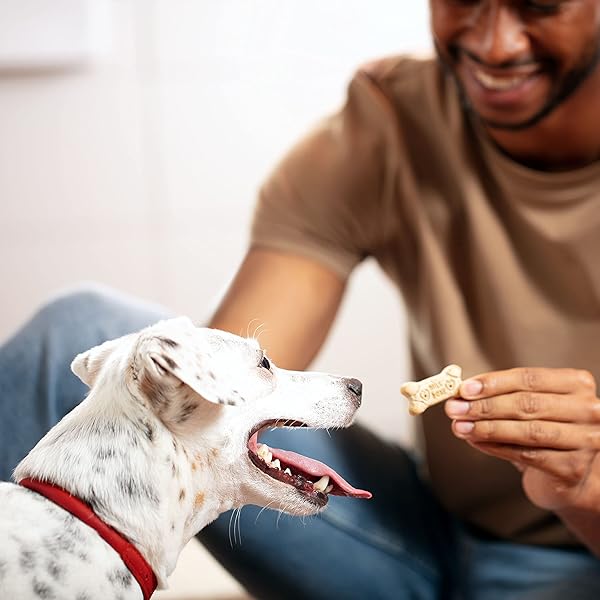 MILK-BONE ORIGINAL DOG TREATS BISCUITS FOR MEDIUM DOGS, 10 POUND