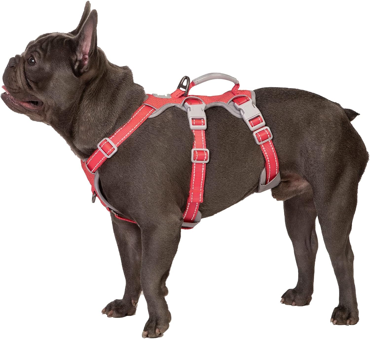 Huntboo Escape Proof Dog Harness, Secure Dog Harness No Escape, Fully Reflective Harness with Handle, Breathable, Durable, Adjustable Vest for Medium Dogs Walking,and Running Gear (Christmas Red,M) — image 1