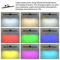 Picture Light with Remote, Led Accent Light