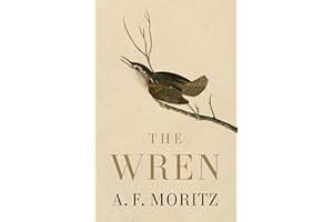 The Wren