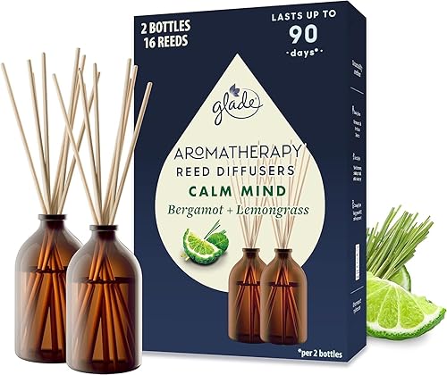 Glade Aromatherapy Reed Diffuser Gift Set, Home Decor Essential Oils Diffuser Soothing Fragrance, Calm Mind with Bergamot & Lemongrass, Pack of 2 (2 x 80 ml)