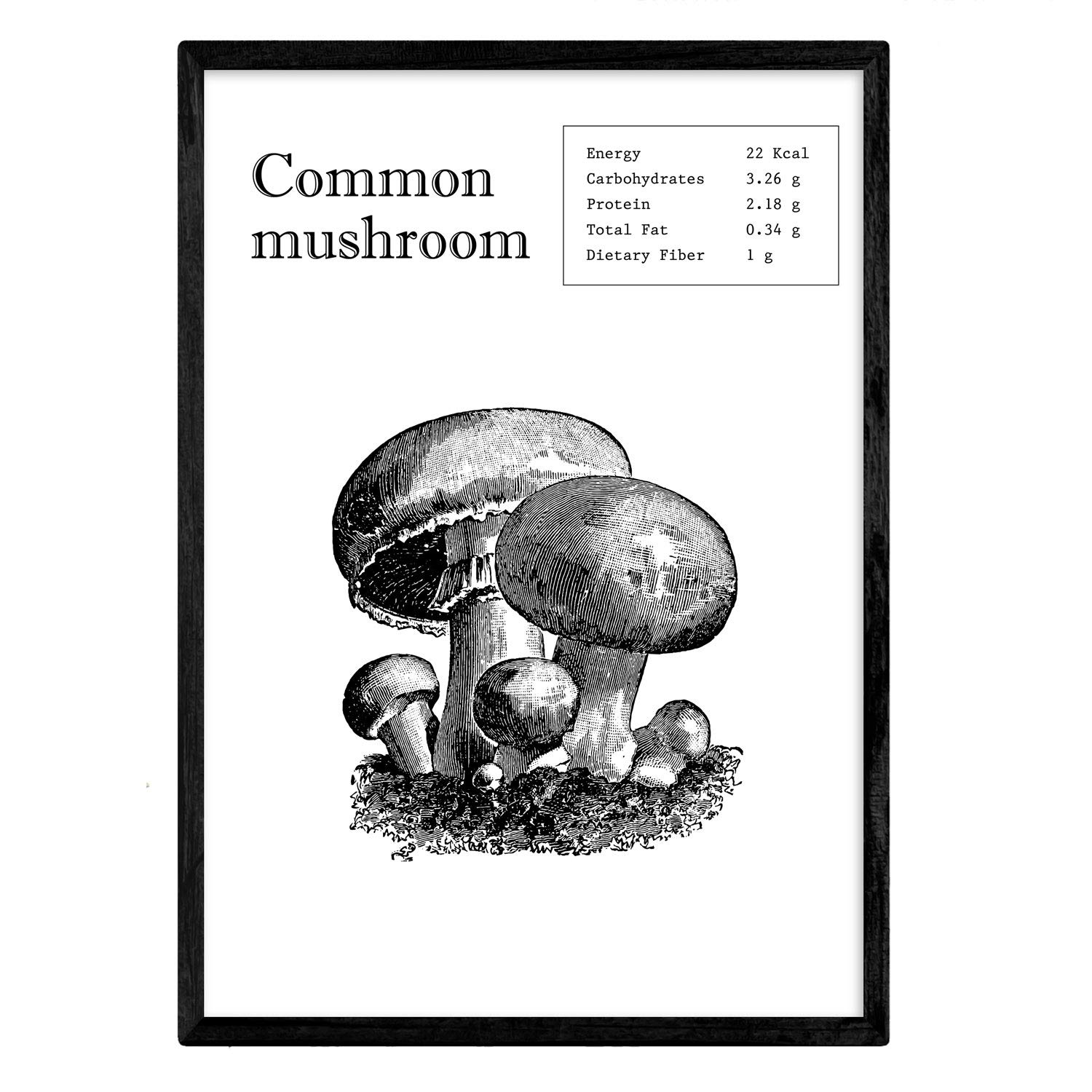 Nacnic Poster Championes. Sheets of fruits and vegetables in English. A3 size
