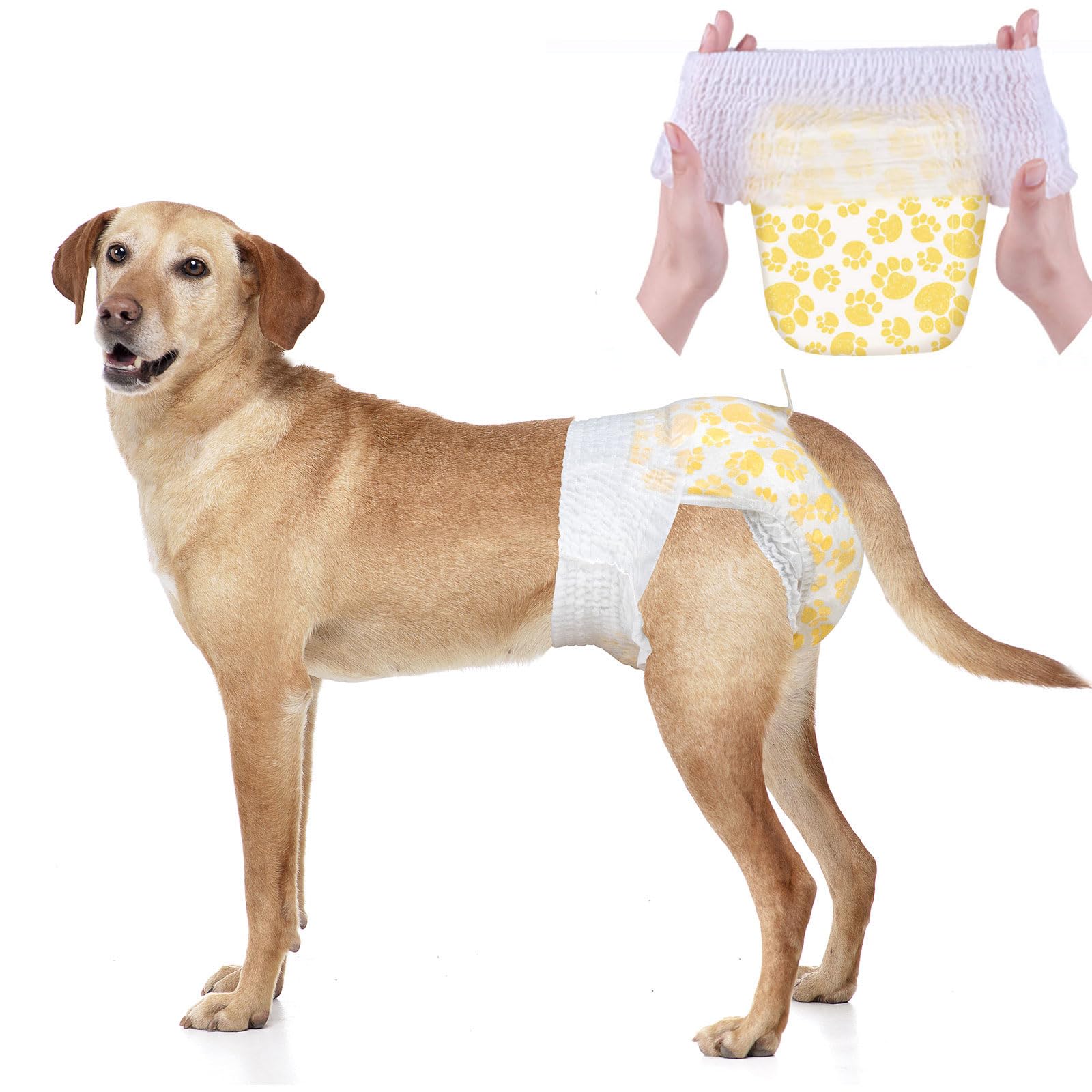 Dono Dog Nappies Female with Full Wrapped Stretchy Waist, 10 PCS, Dog Heat Pants Disposable, Doggie Diapers, Super Absorbent Leak-Proof, Nappies for Dogs in Heat, Period, Incontinence, Training, L