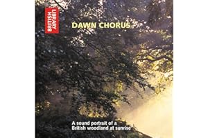 Dawn Chorus: A Sound Portrait of a British Woodland at Sunrise - CD