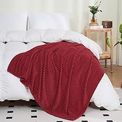 Puncuntex Red Fleece Throw Blanket 60"×80",Super