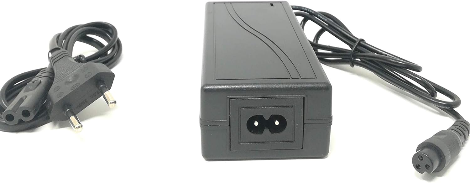 caricabatterie a corrente alternata per garmin